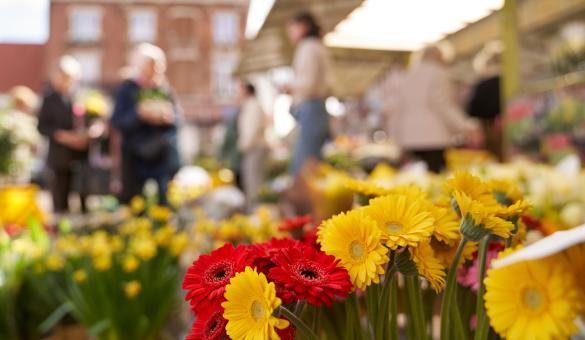 Bloemenmarkt en Fonskesmèt zetten Leuvens hart voor de markt in de kijker