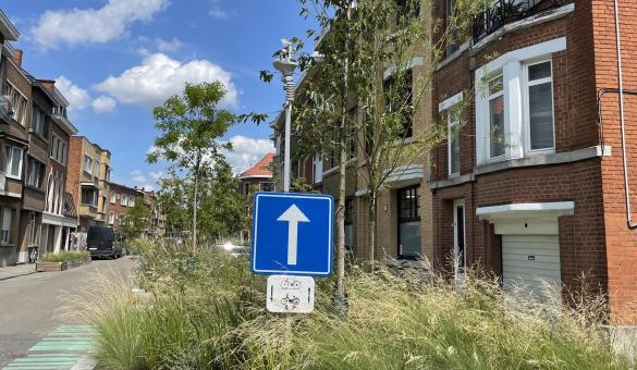 Stad Leuven brengt effect klimaatadaptieve maatregelen in kaart 
