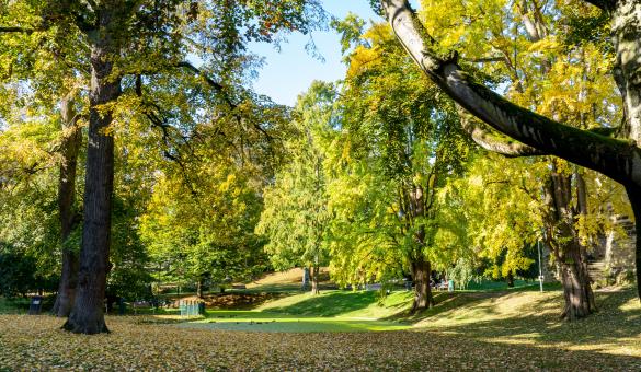 Stad Leuven vraagt mening over ontwerpplannen heraanleg Sint-Donatuspark