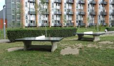 Miniatuur