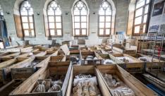 Renovatie stadhuis beeldenzolder