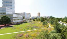 Toekomstbeeld: park tussen de gebouwen en de Eénmeilaan