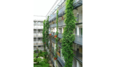 Toekomstbeeld  van de geveltuin