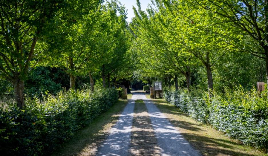 Begraafplaats Wilsele Putkapel