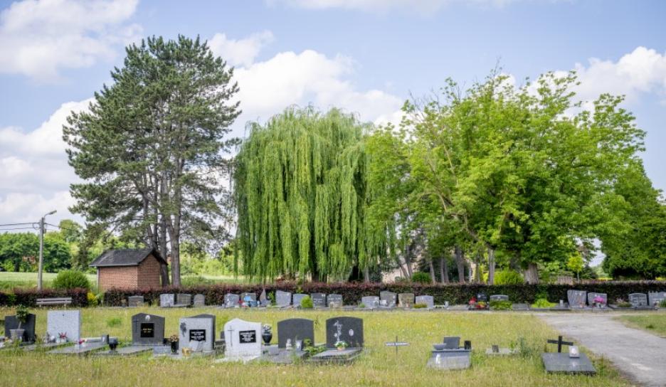 Begraafplaats Wilsele Sint-Martinus