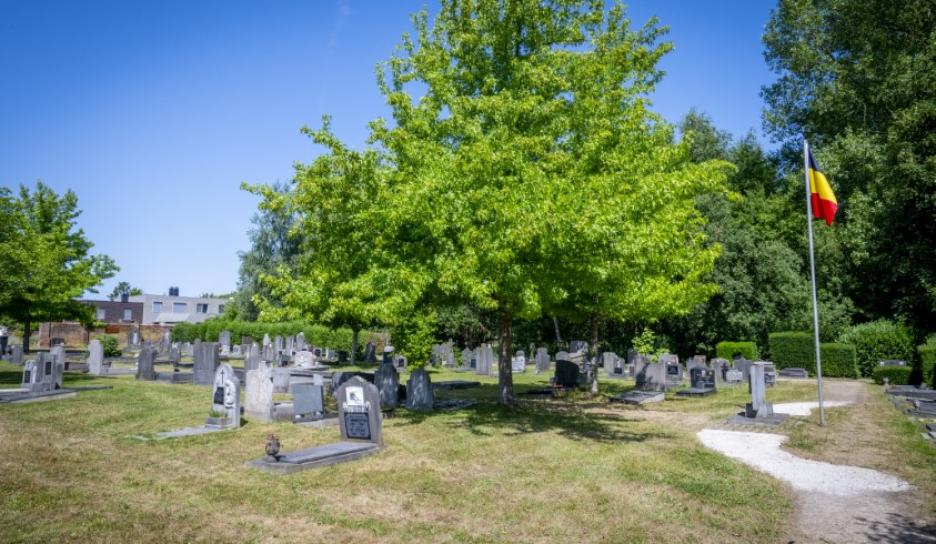 Begraafplaats Wijgmaal oud