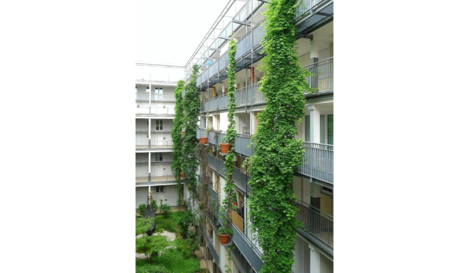 Toekomstbeeld  van de geveltuin
