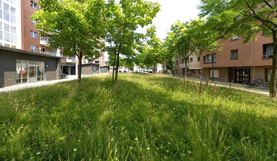 Toekomstbeeld van extensief maaibeheer