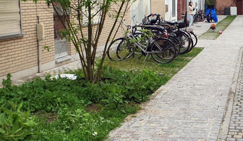 Inspiratiebeeld: Korte Veluwestraat, Mechelen